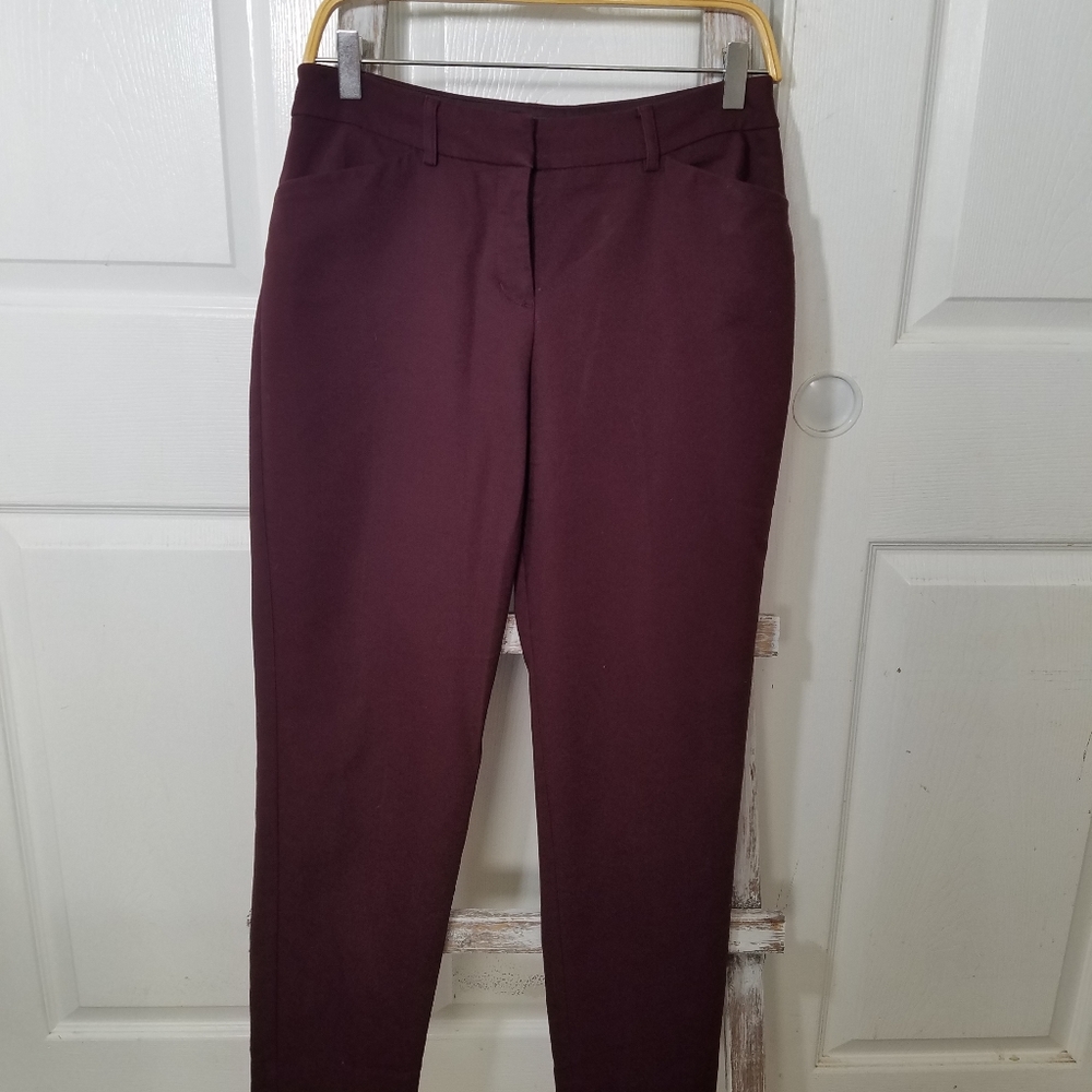 Express Publicist Burgundy Dress Pants